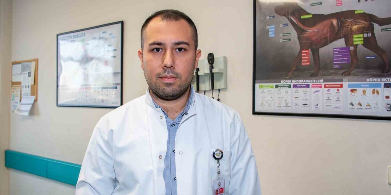 Şap Hastalığıyla Mücadelede Aşılama Hayati Önem Taşıyor