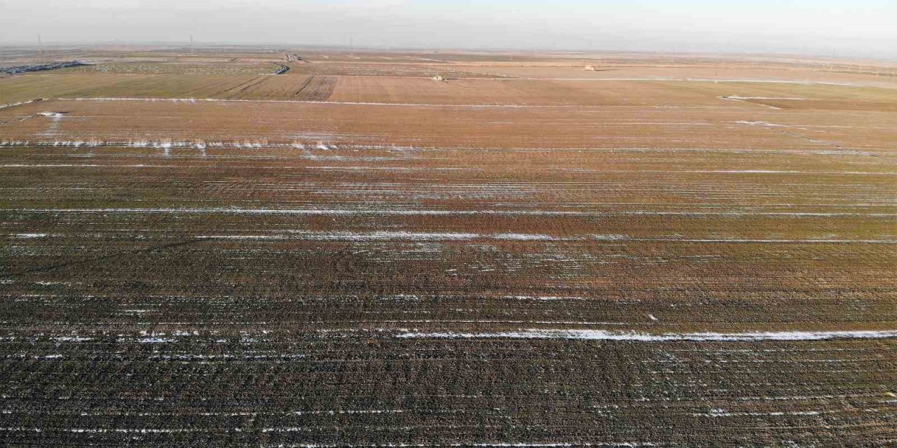Konya Ovası’nda Kar Alarmı: Yetersiz Yağış Hububatta Don Riskini Artırıyor