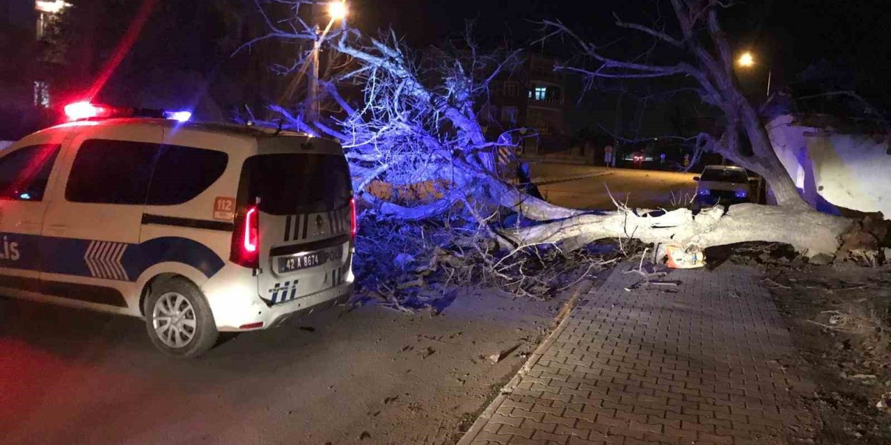 Ereğli’de Şiddetli Rüzgar Ağaçları Devirdi, Çatıları Uçurdu