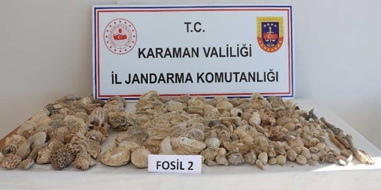 Karaman’da Kaçak Sigara İle 420 Adet Fosil Ele Geçirildi: 12 Kişi Tutuklandı