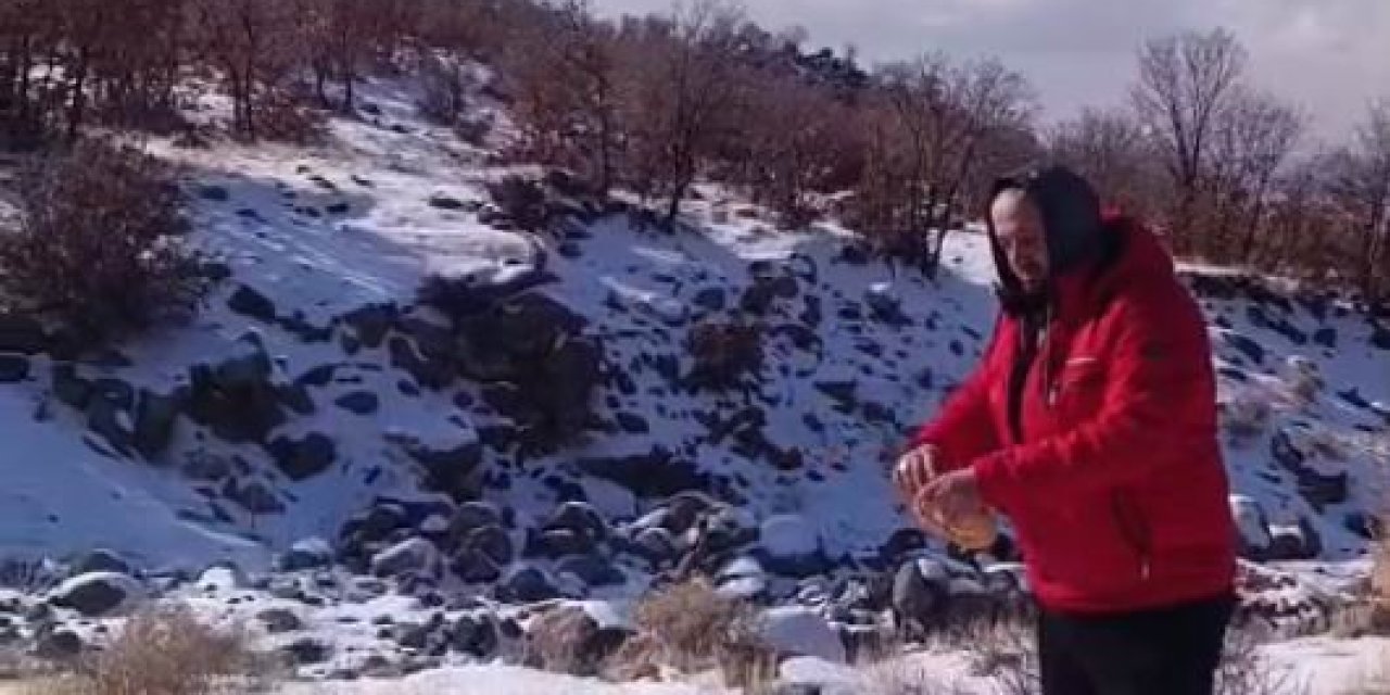 Kar Yağışı Karacadağ’daki Yaban Hayatını Zorladı