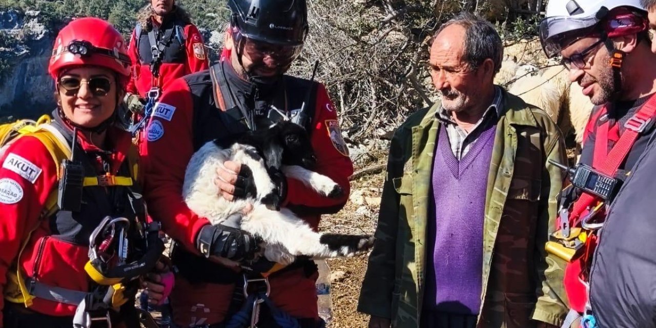 Uçurumdan Düşen Kuzuyu Ekipler Kurtardı