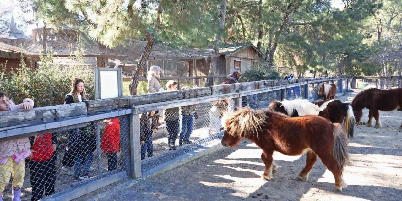 Doğal Yaşam Parkı’nda Çocuklara Hayvan Ve Doğa Sevgisi Aşılanıyor
