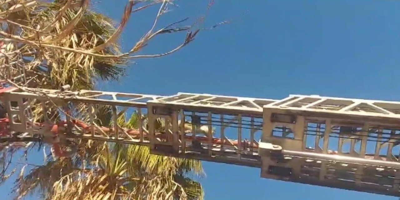 Silifke’de Yürekleri Isıtan Kurtarma