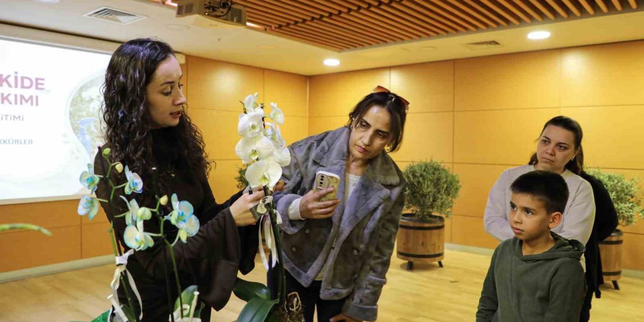 Orkide Bakımı Uygulamalı Olarak Anlatıldı