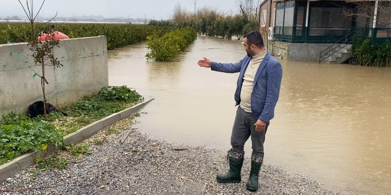 Sağanak Sonrası Evde Mahsur Kalan 4 Köpek İş Makinesiyle Kurtarıldı