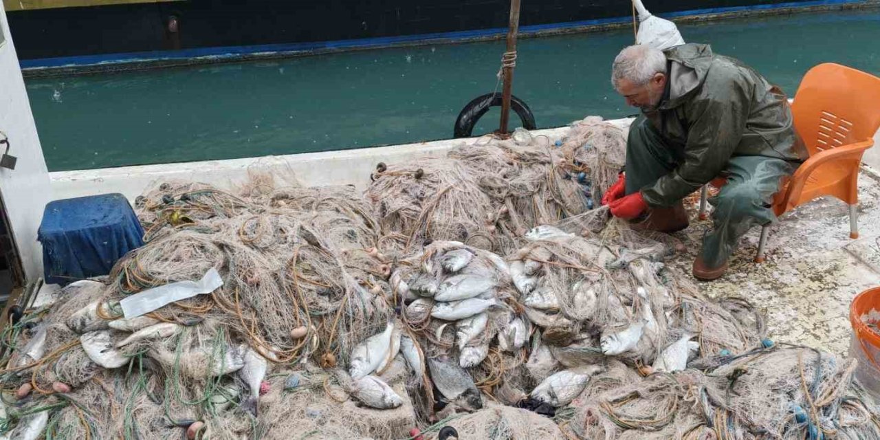 Silifke’de Balık Çiftliğinin Ağı Yırtıldı, Kıyılar Balıkla Doldu