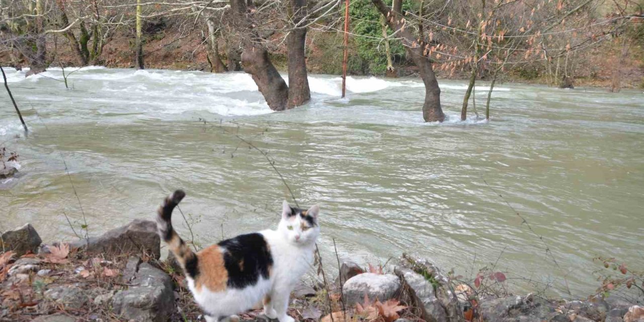 Toroslar’da Yağış Bereketi Kuruyan Üzümdere Irmağını Yeniden Canlandırdı, Şelaleler Coştu