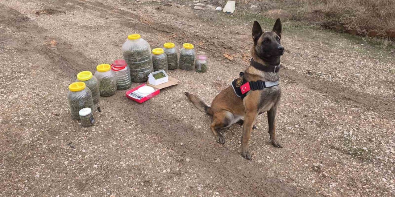 Karaman’da Uyuşturucu Operasyonu: 1 Gözaltı