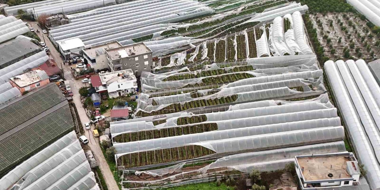 Finike’de Hortumdan Zarar Gören Seralarda Hasar Tespiti Başladı