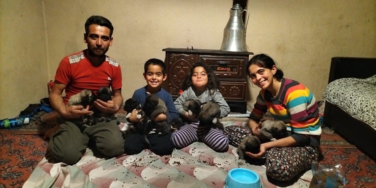 Fırtına Sonrası Devrilen Ağaçların Altında Kalarak Telef Olan Anne Köpeğin Yavrularına Sahip Çıktılar