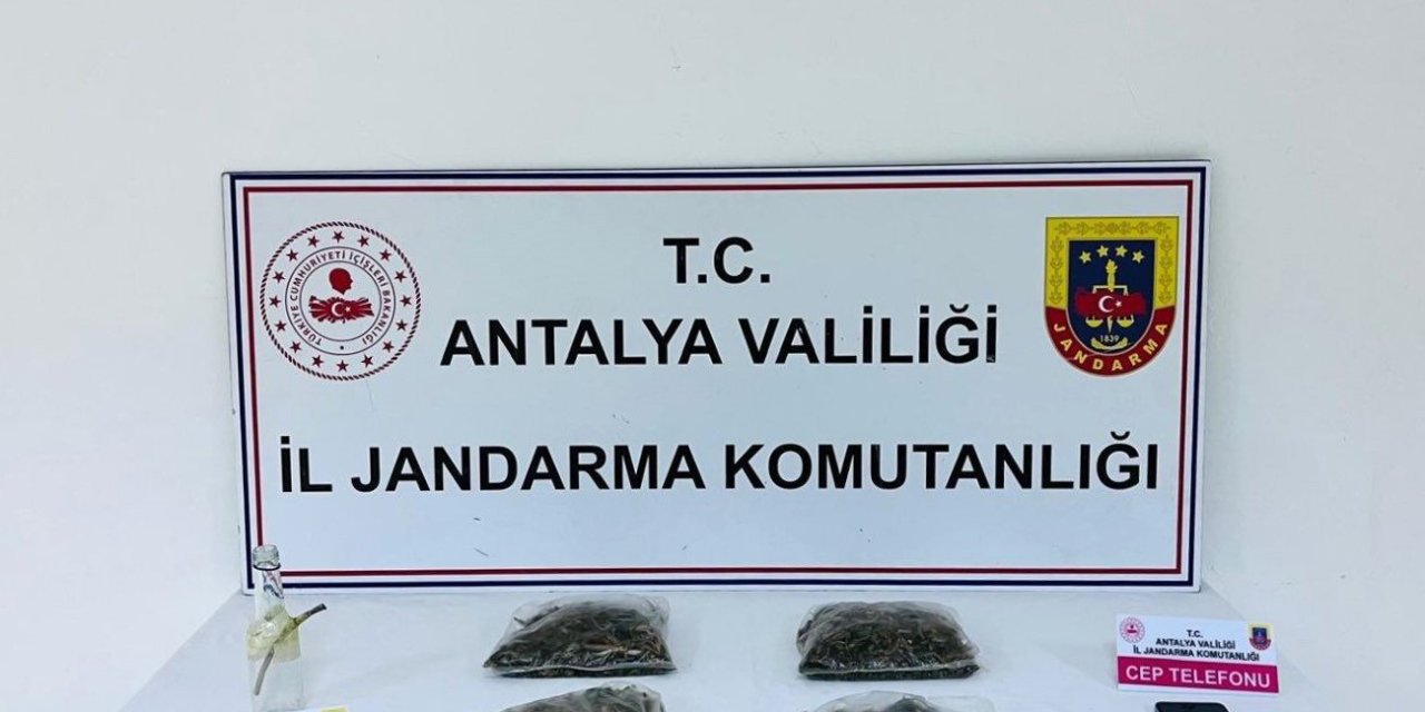 Serik’te Uyuşturucu Operasyonu