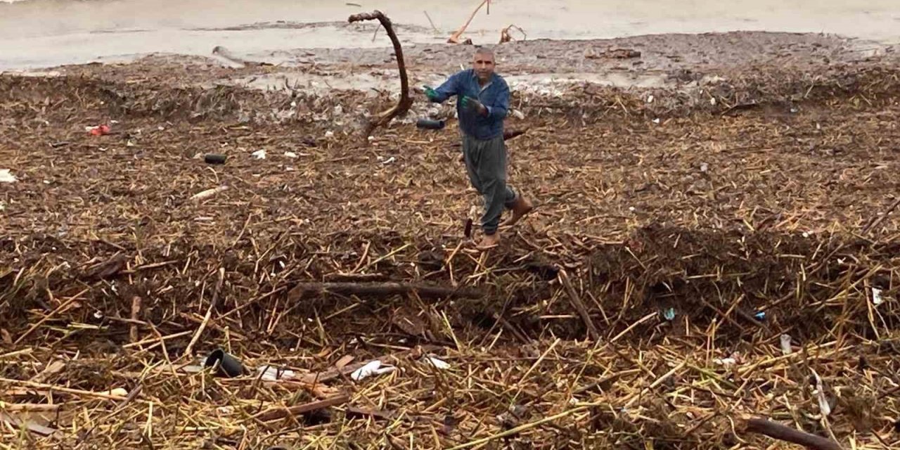 Sel Sonrası Deniz Kahverengi Oldu, Sahiller Odun Doldu
