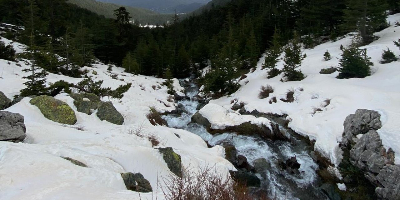 Eriyen Kar Ve Yağmur Suları Su Kaynaklarını Coşturdu
