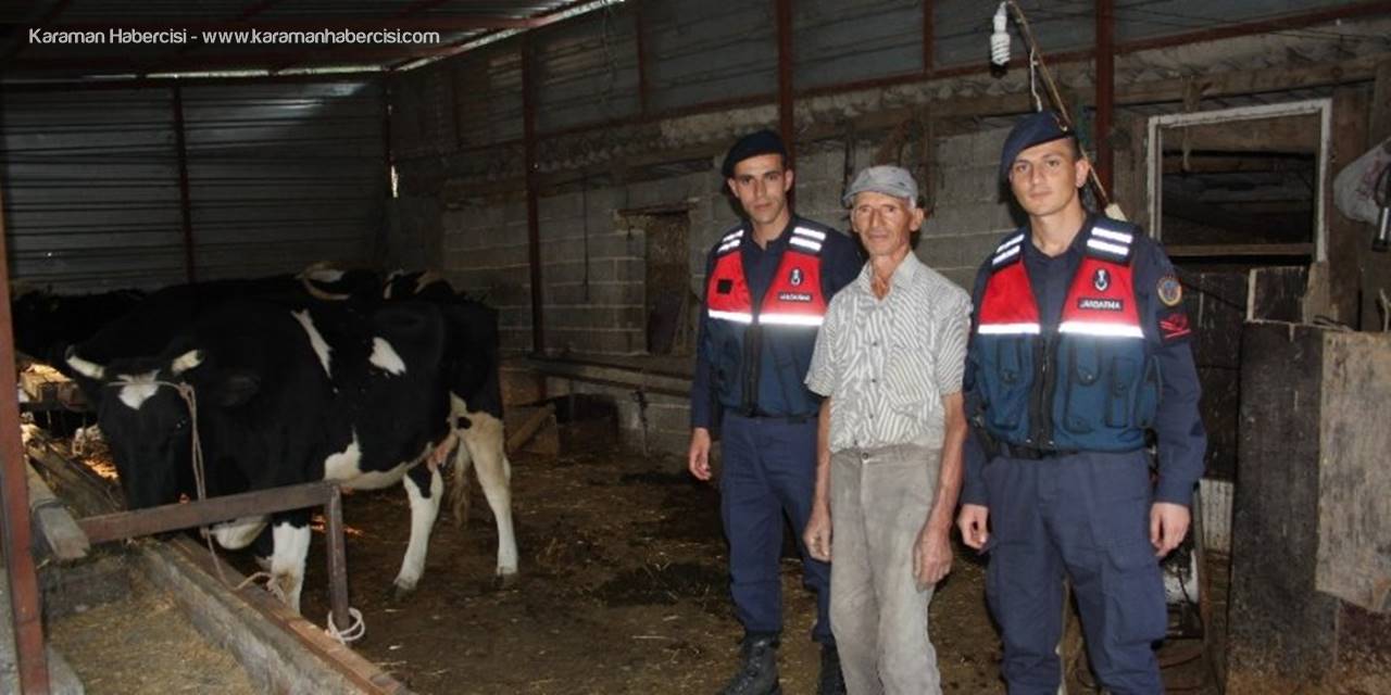 Ümidini Kestiği 4 İnek Ve 1 Buzağıya 1 Gün Sonra Kavuştu