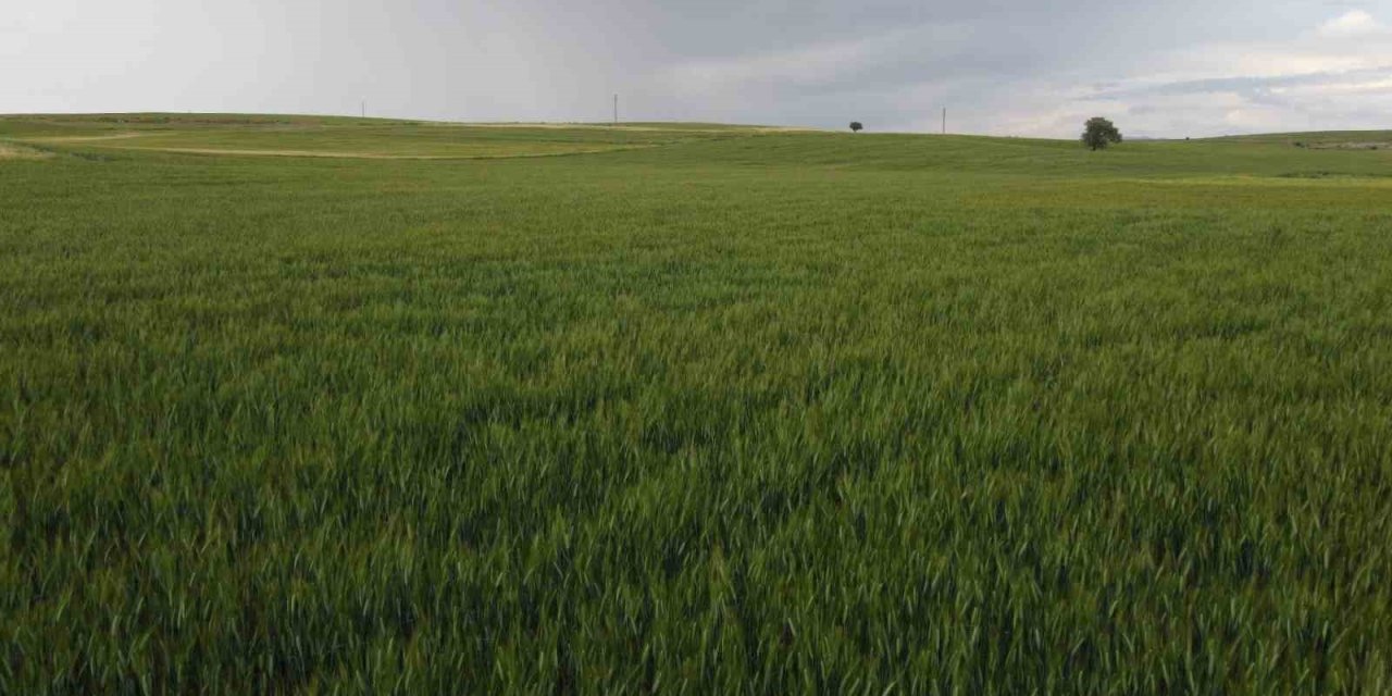 Konya’da Yüksek Kesimler Yağışa Doydu