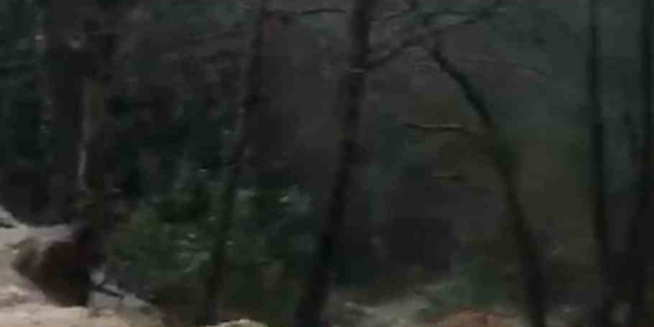 Alanya’da Sağanak Sonrası Su Taşkını Köprüde Zarara Neden Oldu