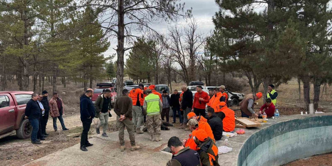 Konya’da Yaban Domuzlarına Sürek Avı Düzenlendi