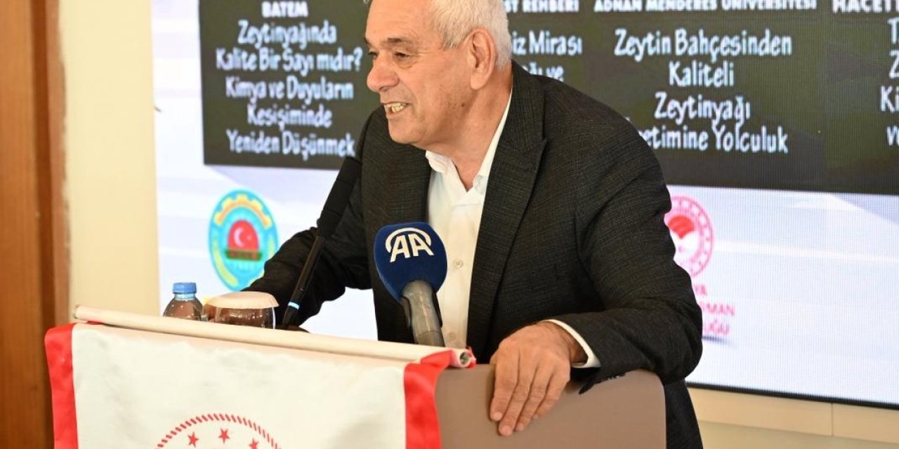 Antalya’da Zeytinlik Alan 20 Yılda 2 Katına Çıktı