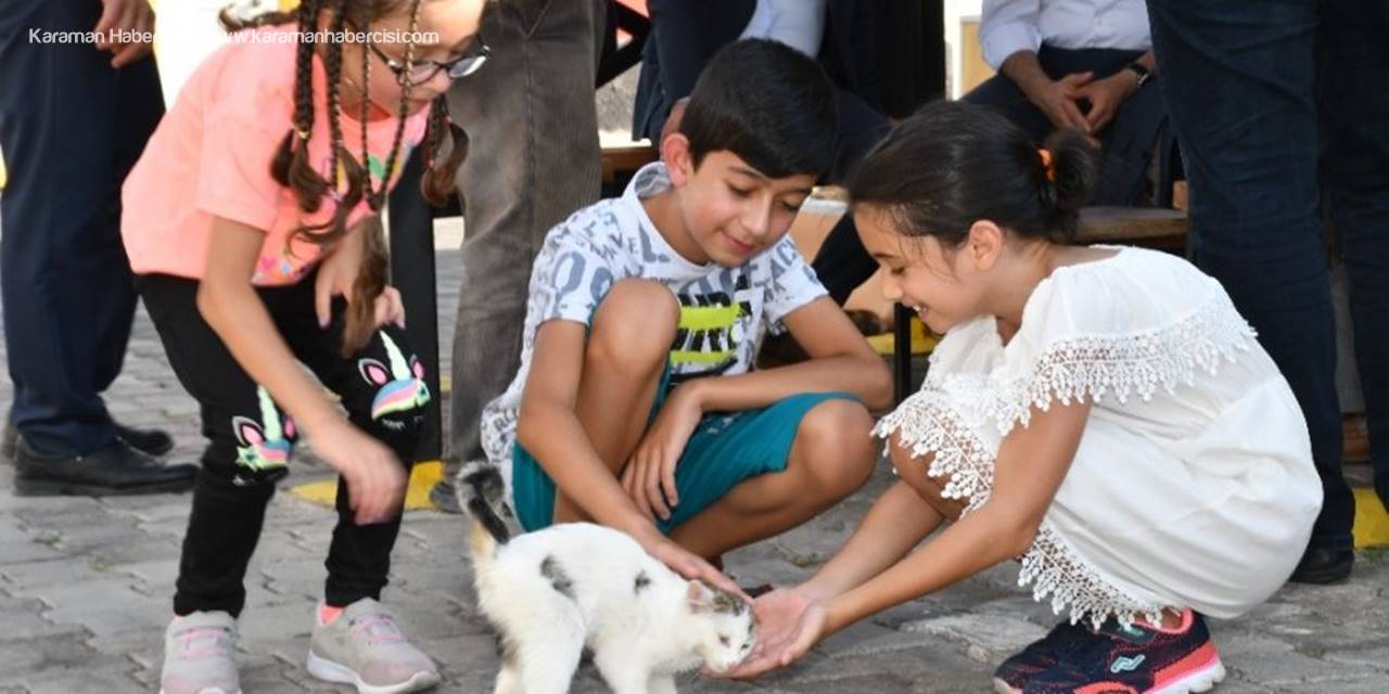 Aksaray Belediyesi Sokak Hayvanlarına Şefkat Eli Uzatıyor
