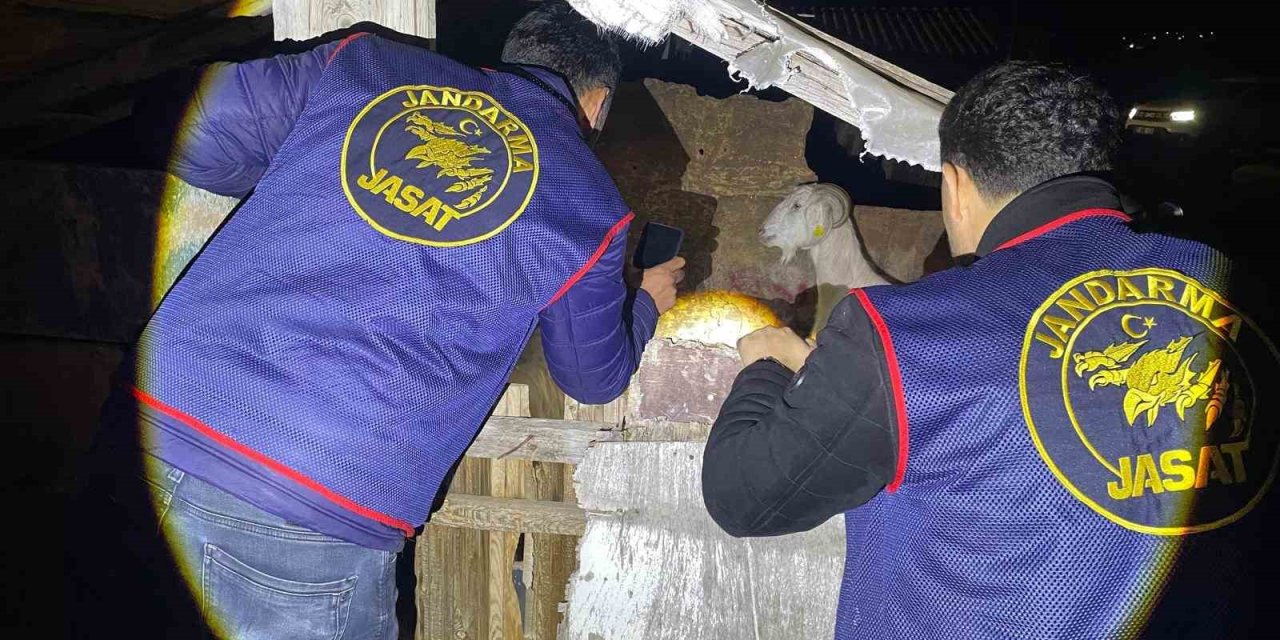 Jandarma Kayıp 5 Koyun İçin 3 İş Yeri Ve 9 Meskene Ait Toplam 24 Saatlik Güvenlik Kamerasını Saniye Saniye İnceledi