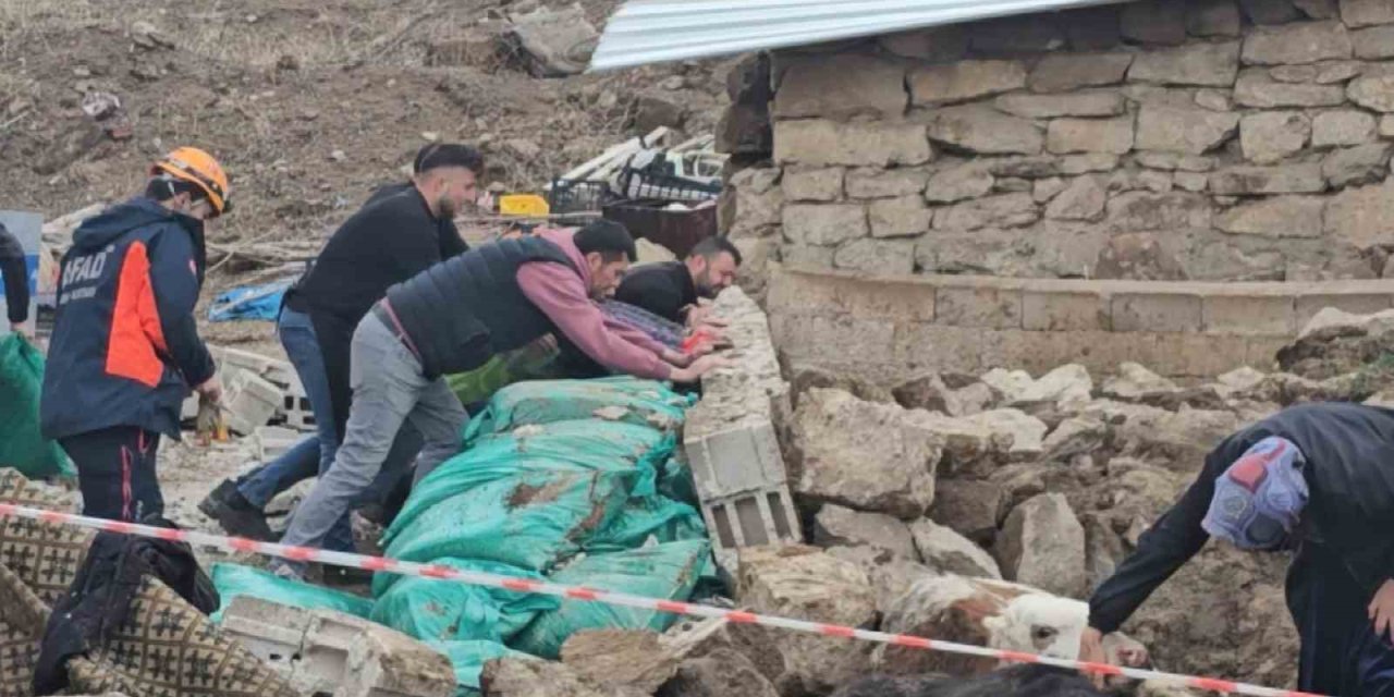 Aksaray’da Yağmur Ve Rüzgardan Ahır Hayvanların Üzerine Çöktü