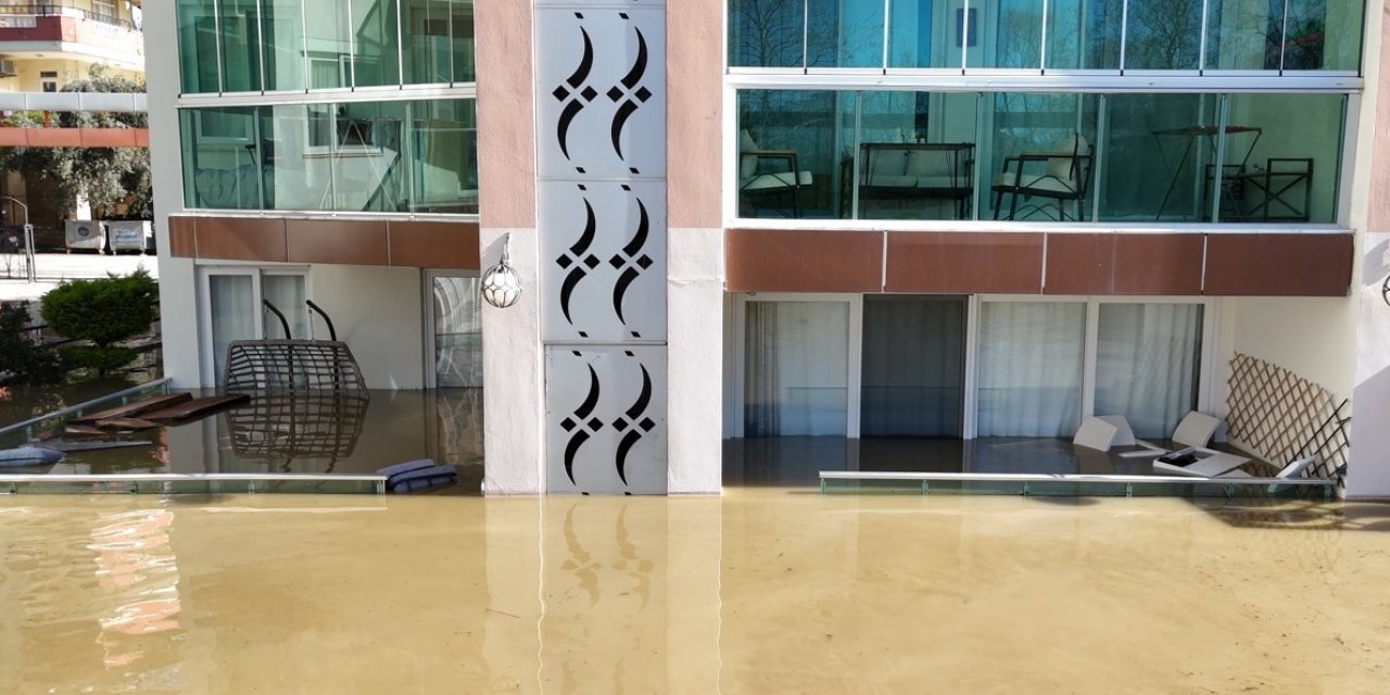 Taşan Çaydaki İşletme Yıkıldı, Sulara Kapılmak Üzere Olan Bir Köpek Son Anda Kurtarıldı