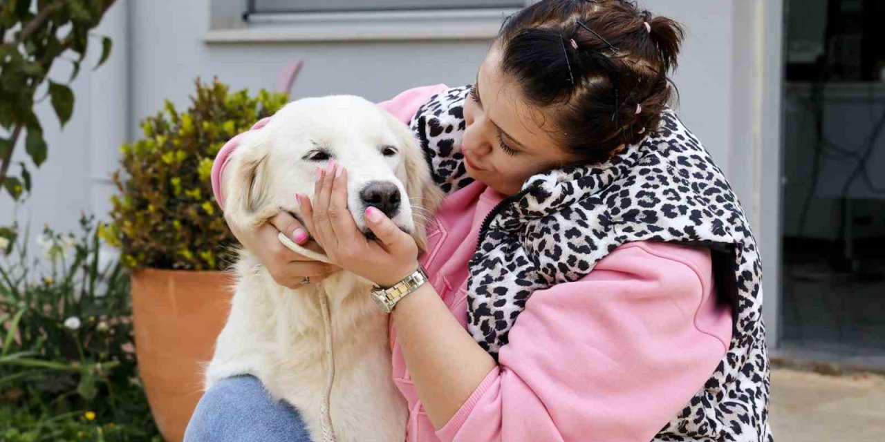 Antalya’da Sokak Hayvanları Yeni Sahiplerini Bekliyor