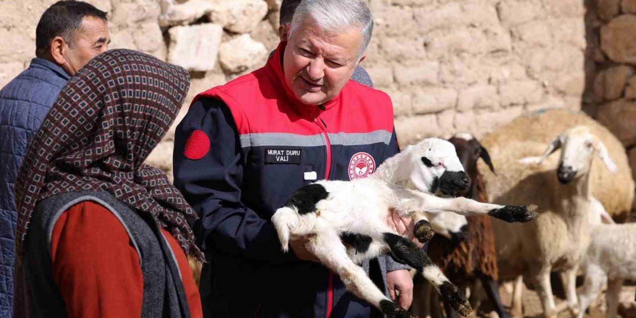 Vali Duru: "1,5 Milyarlık Finansmanla 125 Bin Küçükbaş Hayvan Alımı Yapılacak"