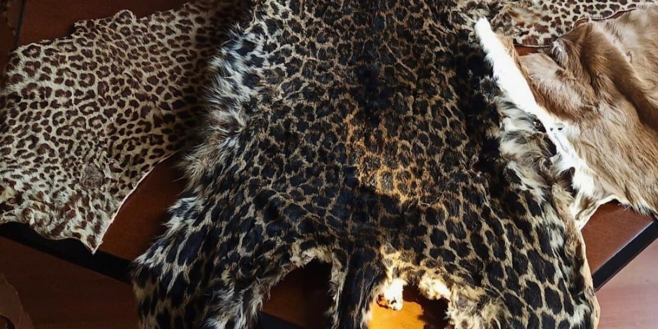 Çukurova Uluslararası Havalimanı’nda Leopar Postu Ve Baykuş Gözü Ele Geçirildi