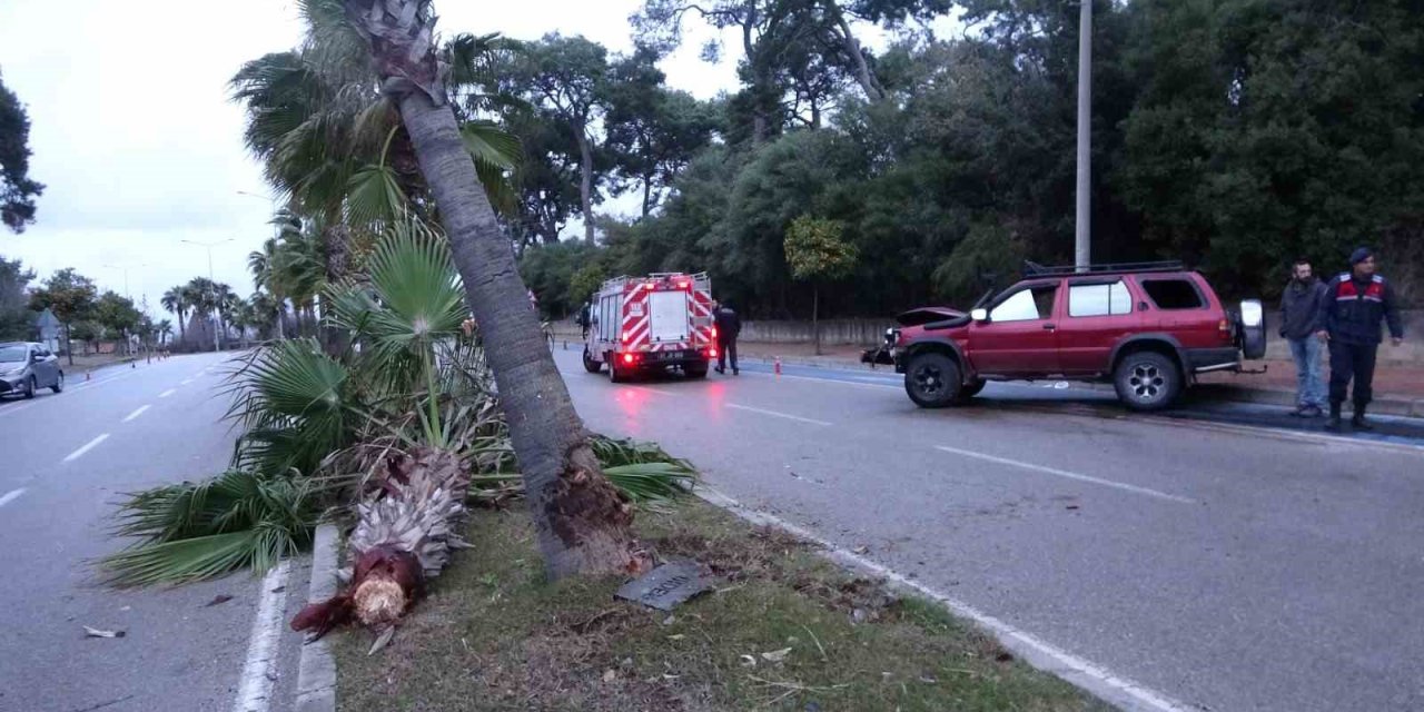 Alkollü Sürücü Palmiyeye Çarptı: 2 Yaralı
