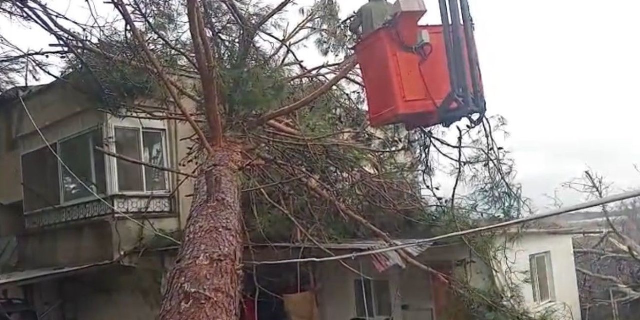 Mersin’de Fırtına Etkili Oluyor: Ağaç Evin Üzerine Devrildi