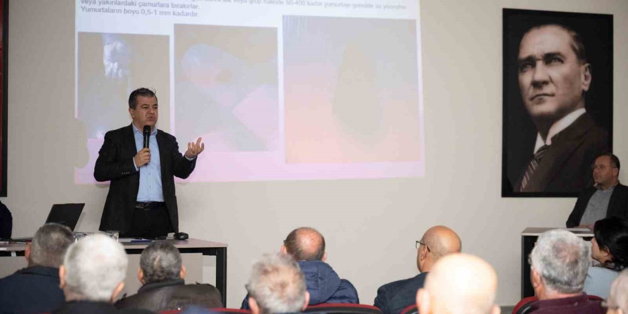 Silifke’de Haşereyle Mücadele İçin İş Birliği Çağrısı