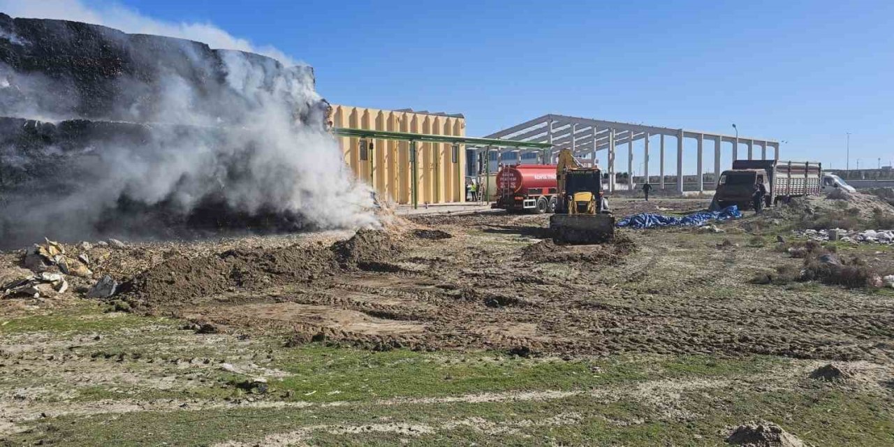 Tonlarca Mısır Balyası Yandı