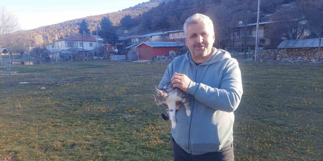 Konya’da Aç Kalan Kediler İçin 30 Kilometre Yol Gitti