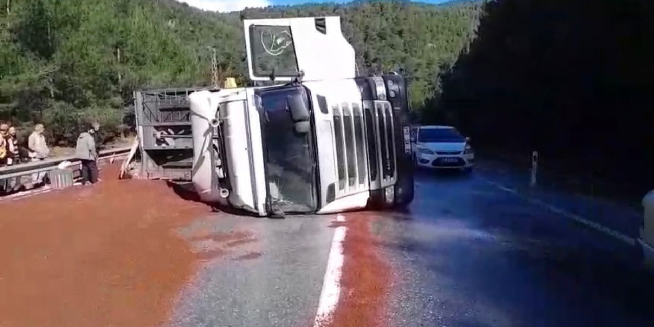 Peyzaj Malzemesi Yüklü Tır Devrildi