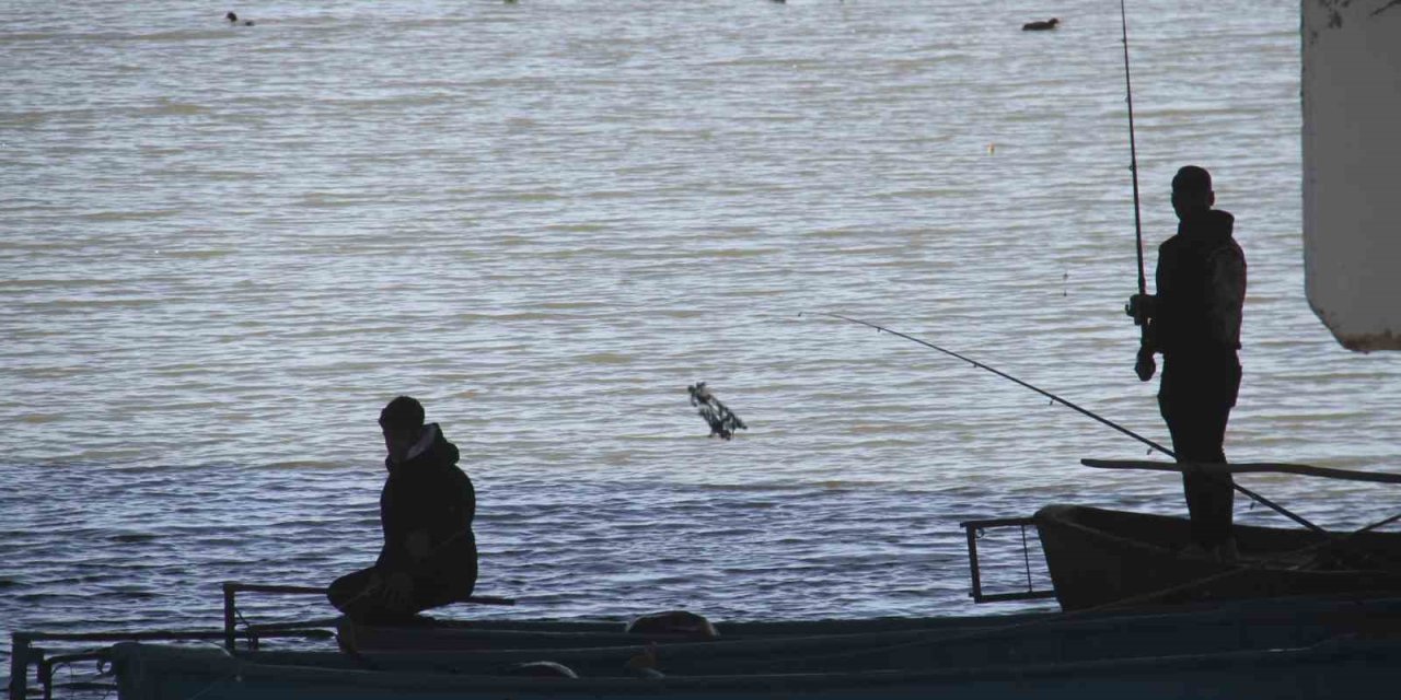 Beyşehir Gölü Hafif Canlandı, Oltalar Yeniden Tatlı Sulara Bırakıldı