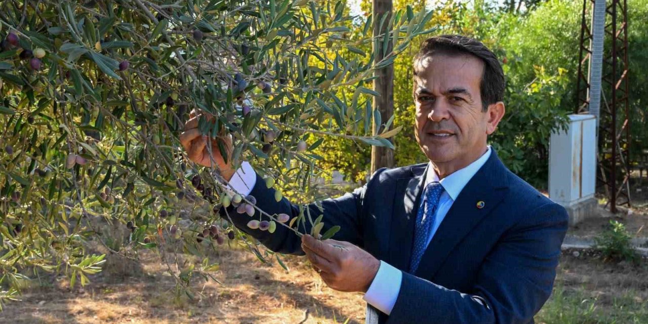 Antalya Zeytinyağını Markalaştıracak 30 Öneri