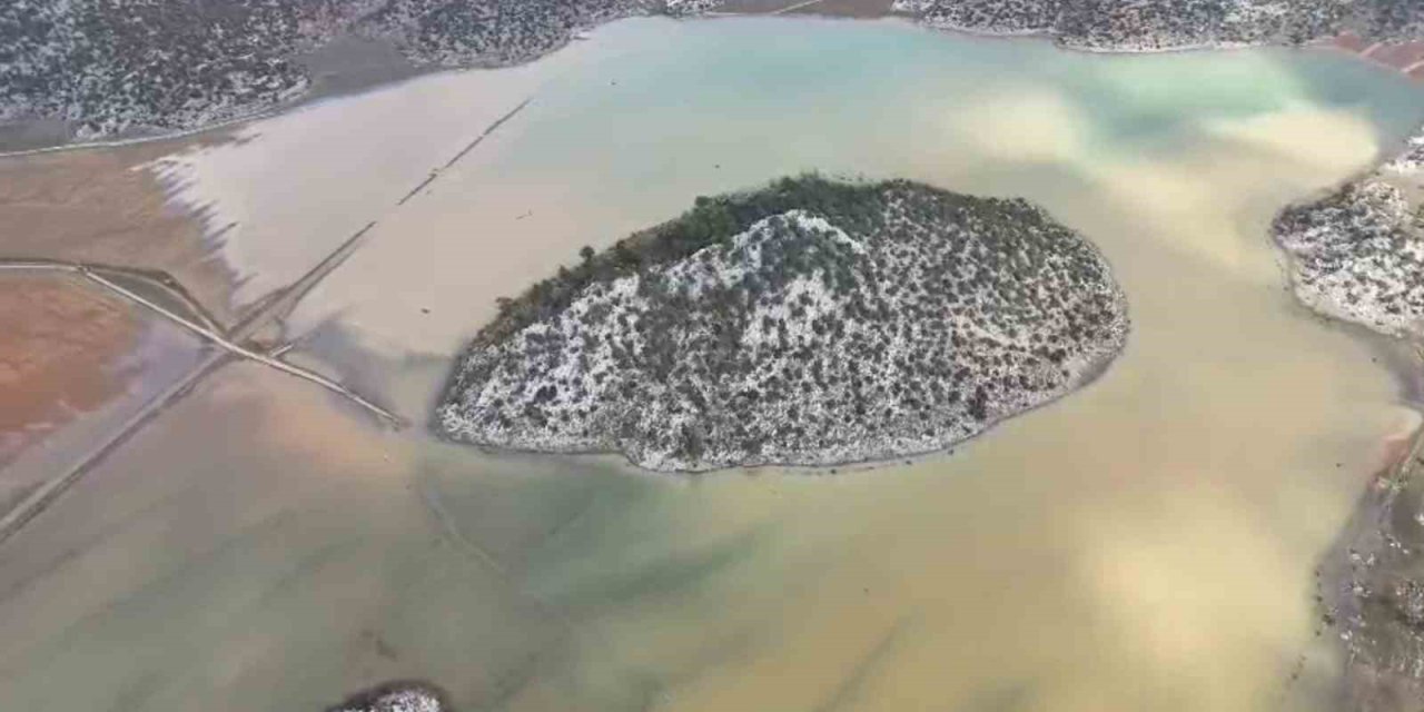 Gören "meke" Sandı, Gerçek Başka Çıktı