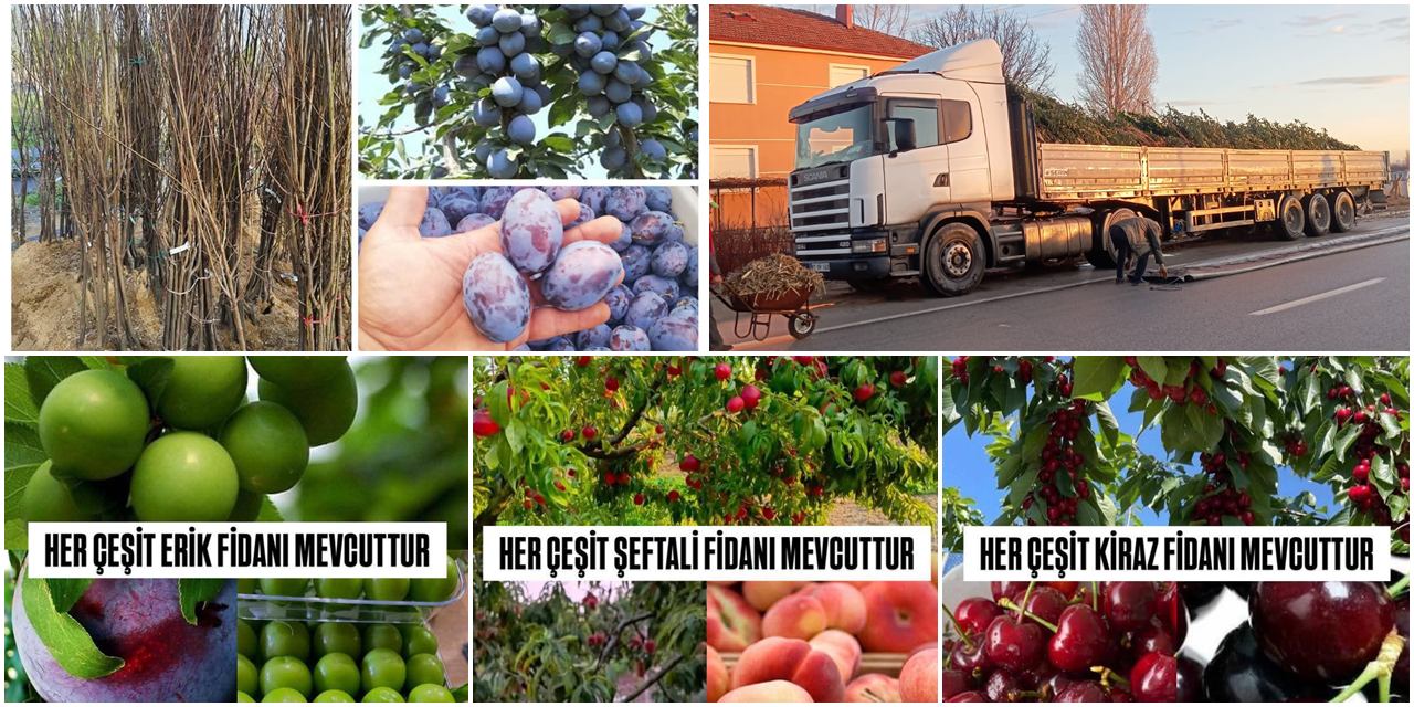 Karaman’da Her Çeşit Meyve Fidanı Öz Karaman Fidancılık’ta