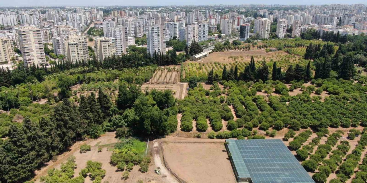 Türkiye Son 20 Yılda, Antalya’dan Büyük Tarım Alanını Kaybetti