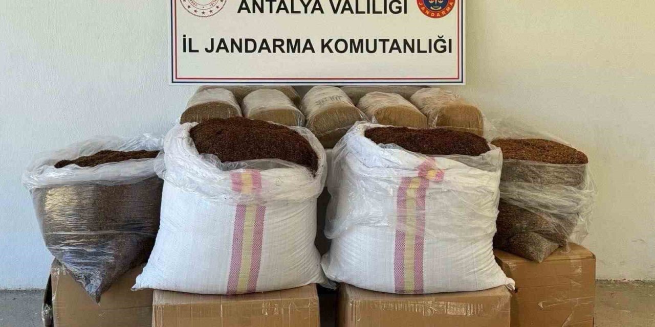 Antalya’da Yolcu Otobüsünde Yarım Ton Kaçak Tütün Ele Geçirildi