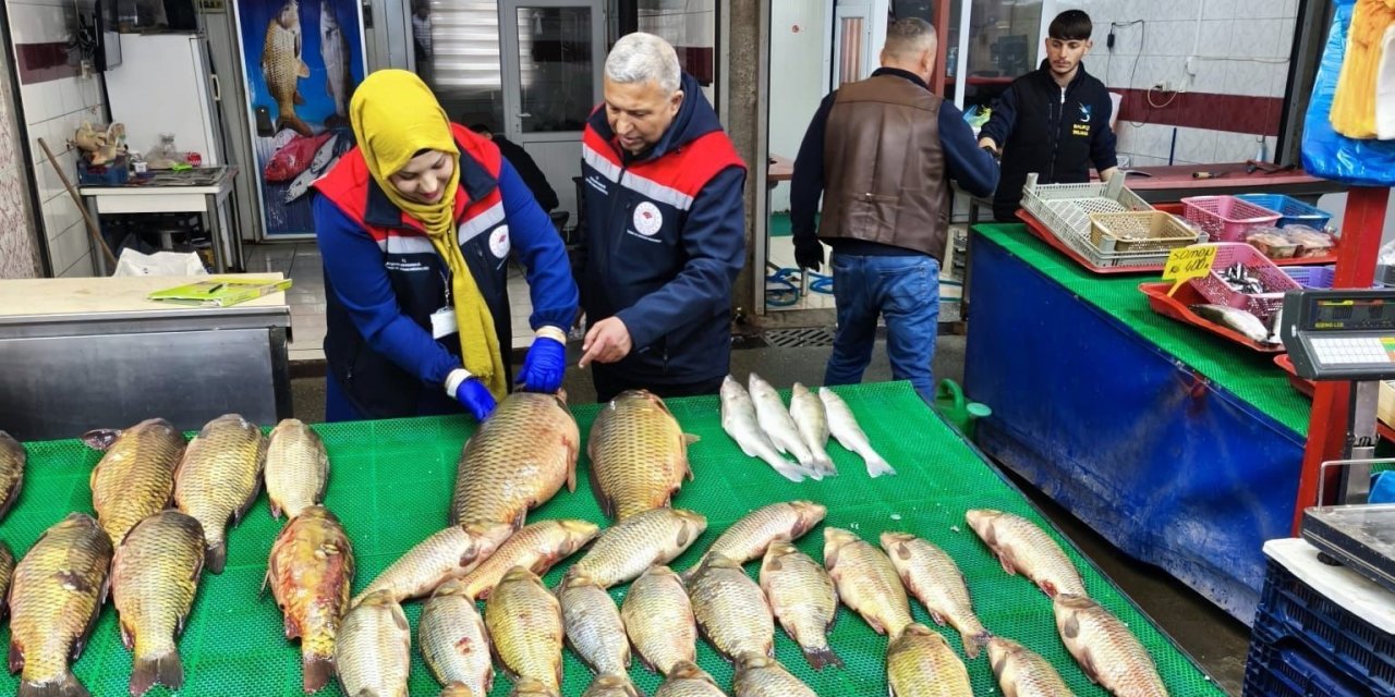 Beyşehir Gölünde Avcılık Falliyetleri Denetim Altındı