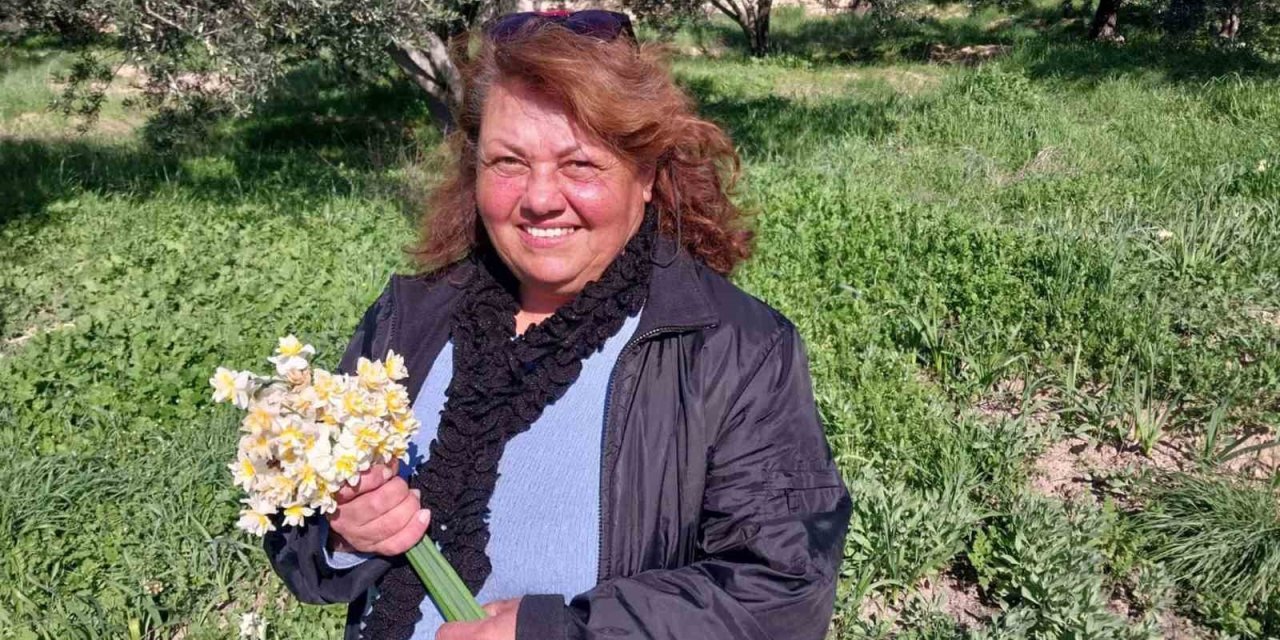Mersin’de Baharı Yaşatan Nergis Çiçekleri Gelir Kaynağı Oldu