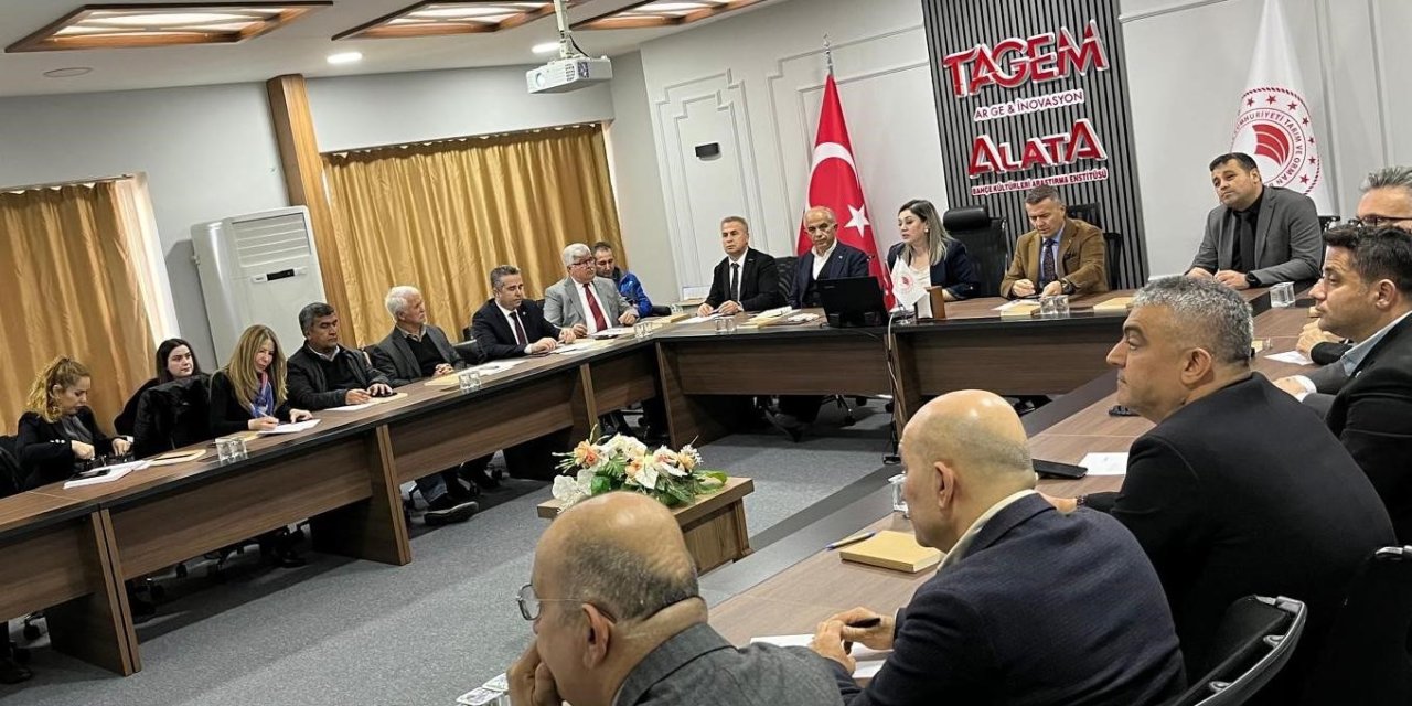 Mersin Tarımı Faydalı Böcekle Biyolojik Mücadeleye Odaklandı