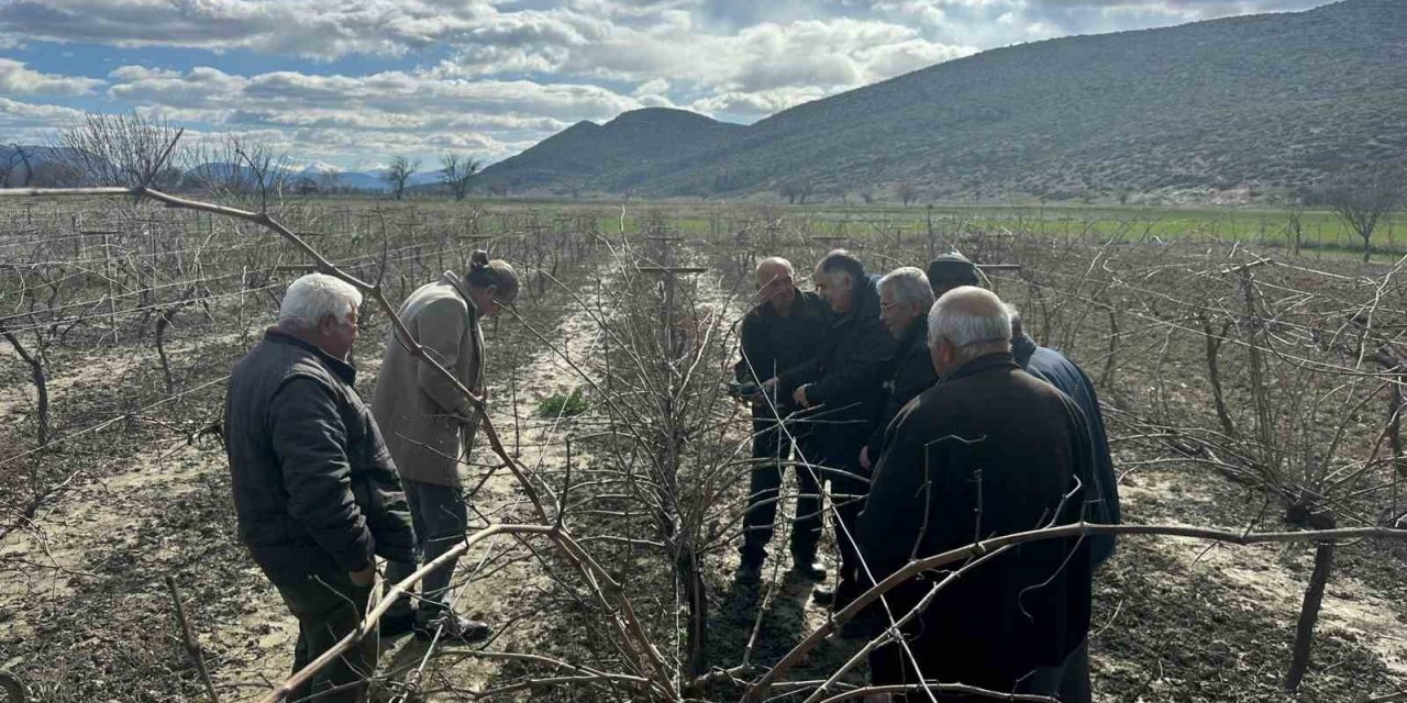 Korkuteli’nde Çiftçilere Budama Eğitimi