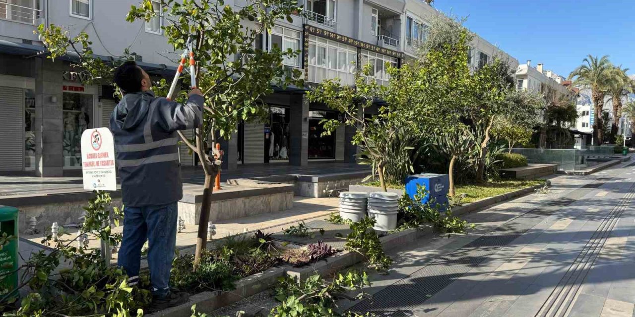 Büyükşehir’den Kemer’de Peyzaj Düzenlenesi