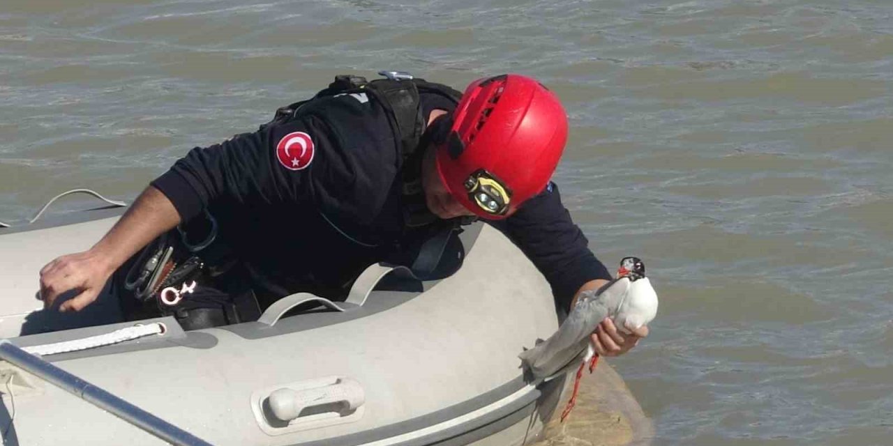 Antalya İtfaiyesinden Film Gibi Martı Kurtarma Operasyonu