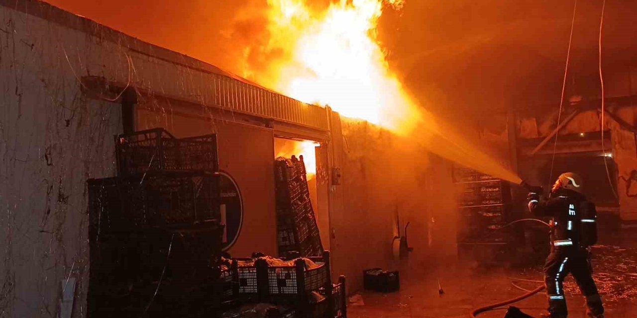 Muz Paketleme Tesisinde Çıkan Yangın Korku Dolu Anlar Yaşattı