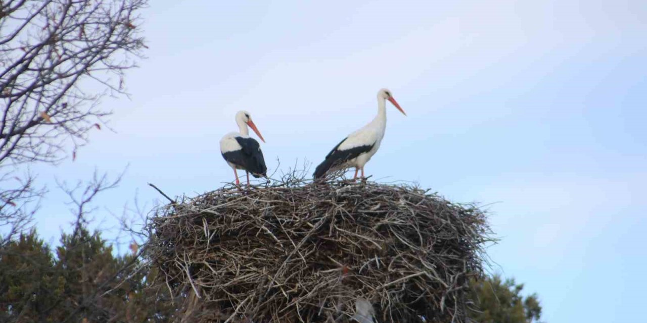 Beyşehir’e Bahar Leyleklerle Geldi